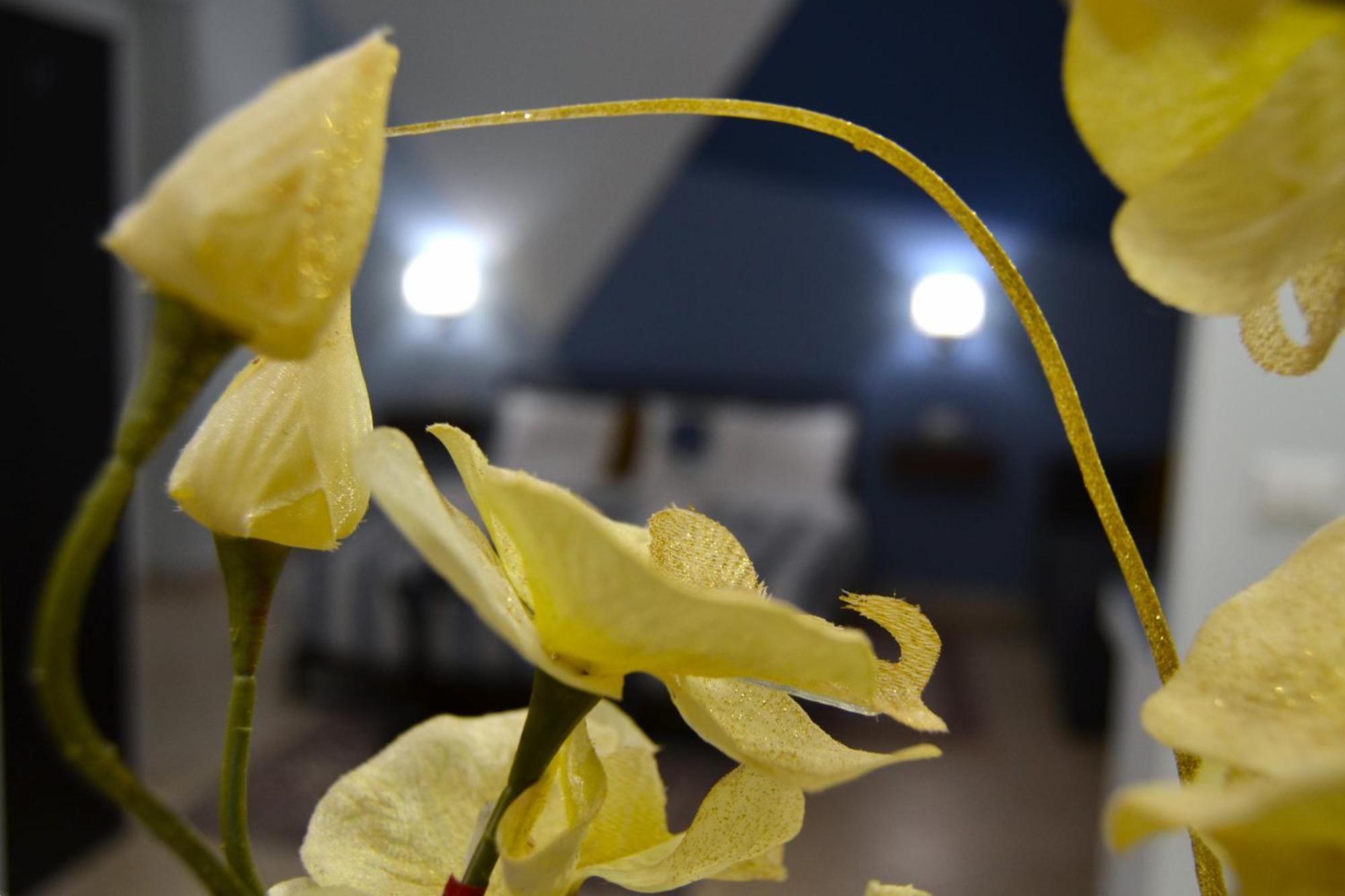 Casa Grazia - Guest House - Reggio Calabria Exterior photo